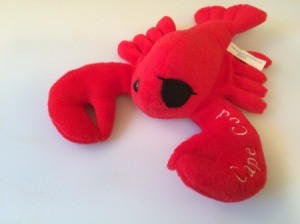 eye patch on lobster