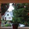 view of window with garland attached to glass
