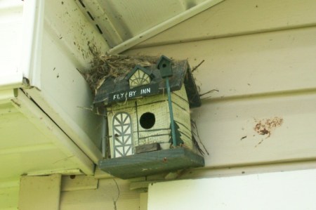 nest on top of a birdhouse