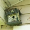 nest on top of a birdhouse