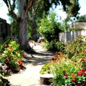 View down the path garden.