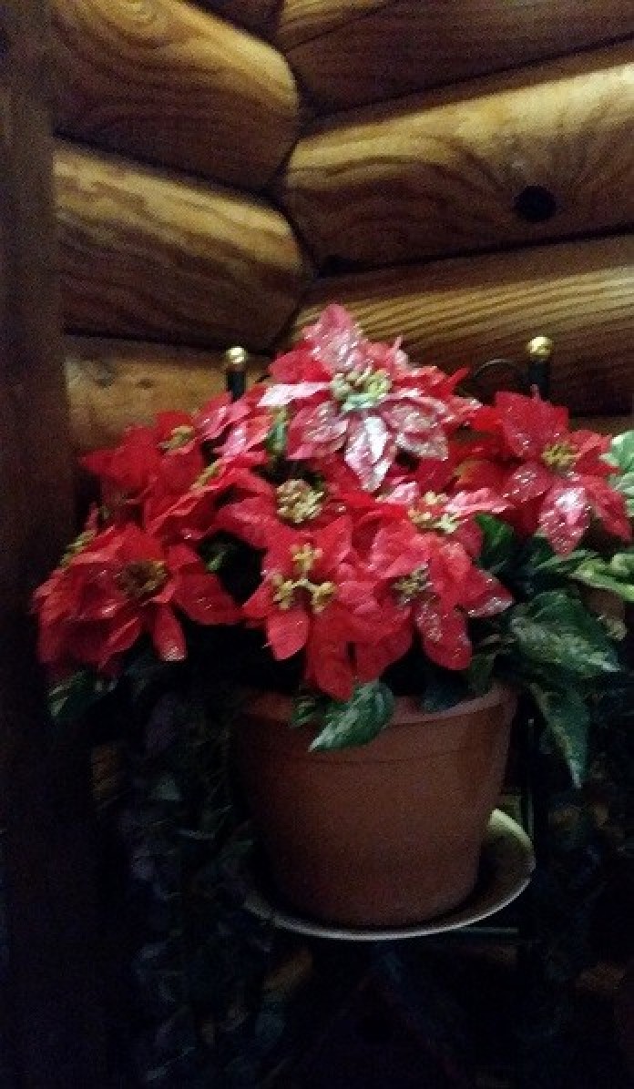 Decorating With Artificial Poinsettias For Christmas