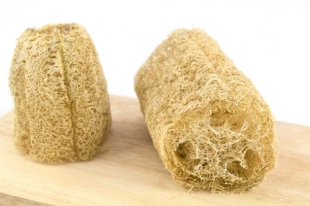 loofa sponges