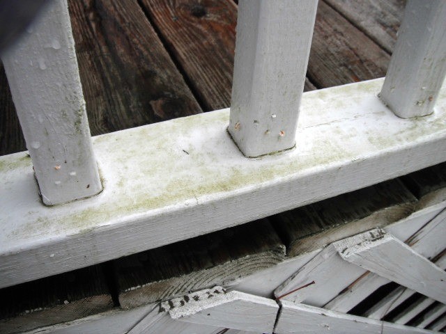 Cleaning Mildew off Vinyl Deck Railings