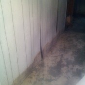 peeling wallpaper and missing carpet