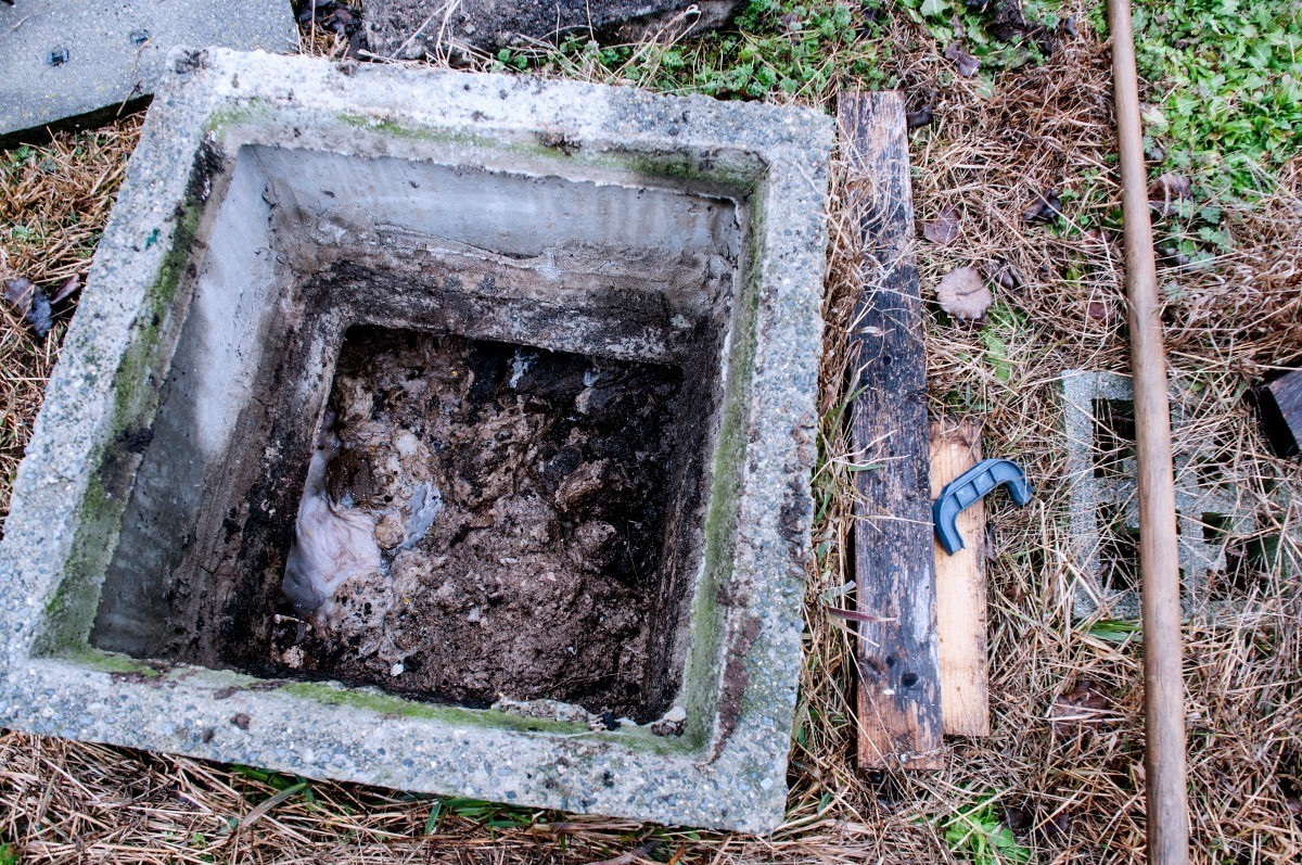 Commonwealth Waste Solutions Is Recommending Tips For Septic System Maintenance In Winter
