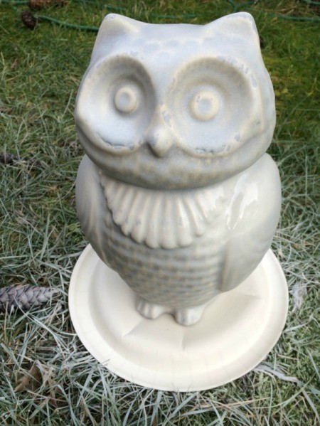 priming large owl 3rd coat