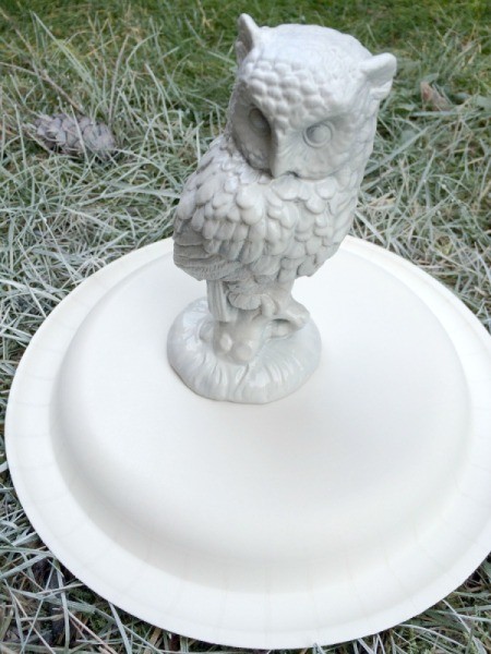 priming small owl