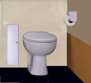 Cabinet for Storing Toilet Tissue