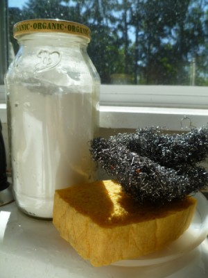 bottle of powdered soap with sponge and steel scrubbing pad