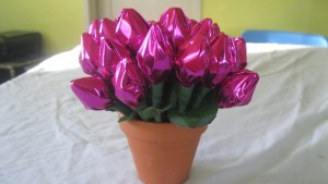 several roses in a clay pot