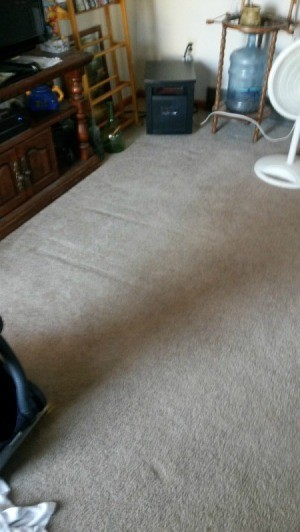 Homemade Carpet Shampoo That Works