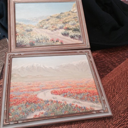 two painting of California wildflowers