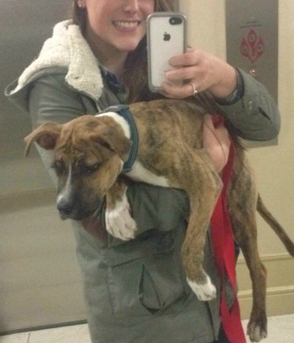 girl taking a selfie while holding puppy