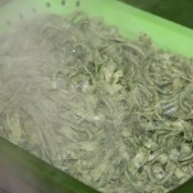 Spinach Pasta