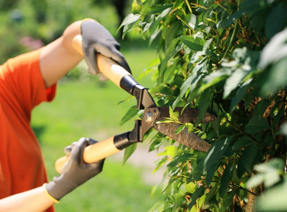 How Property Laws Affect Gardeners | ThriftyFun