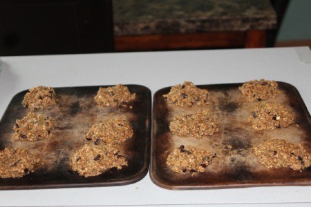 Protein and Fiber Packed Breakfast Cookies