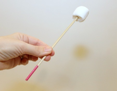 marshmallow on skewer