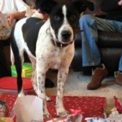 standing  in wrapping paper pile