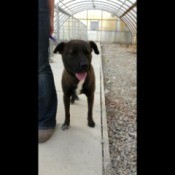 standing in an empty greenhouse