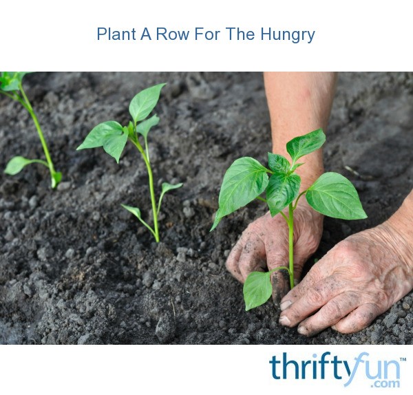 Plant A Row For The Hungry ThriftyFun
