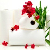 Toilet Paper with Flowers