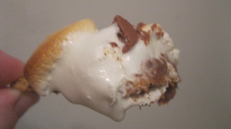 S'mores Dip - The dip close up.