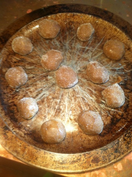 Dreamy Molasses Cookies