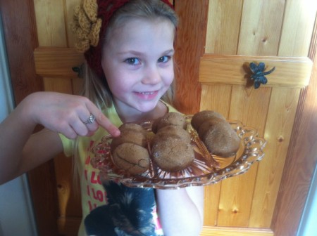 Dreamy Molasses Cookies