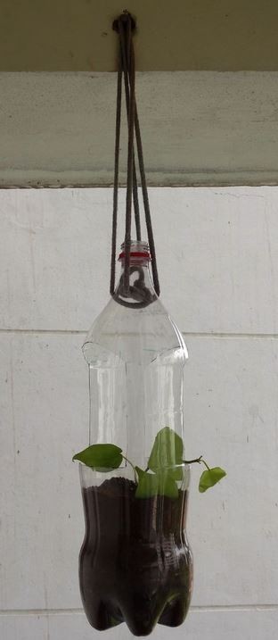 A hanging bottle planter
