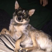 lying down and looking over left shoulder