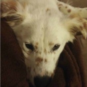 closeup of Cooper's face