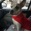 in car wearing her red sweater