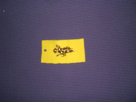 The inside of the frame with a pin.