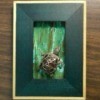 A turtle pin framed in green.
