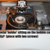 closeup of dog's face