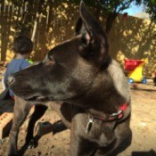 closeup of left side of her face