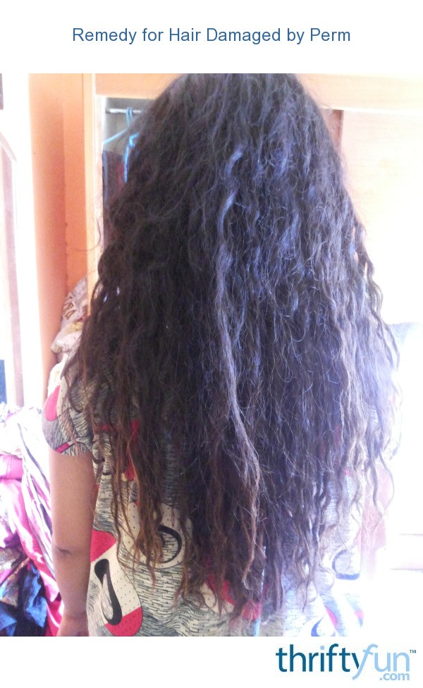 Remedy For Hair Damaged By Perm Thriftyfun