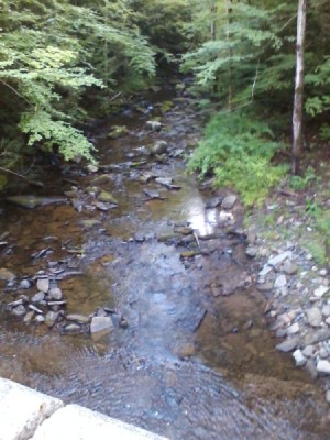 Butternut Creek