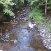 Butternut Creek