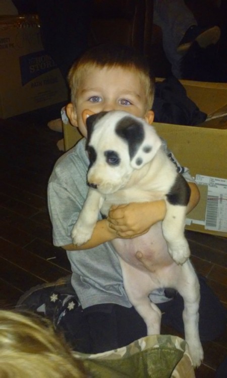 young boy holding a white puppy with black markings