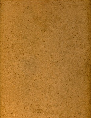 sheet of particle board