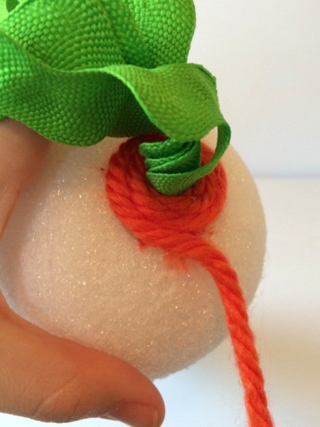 Yarn Wrapped Carrot