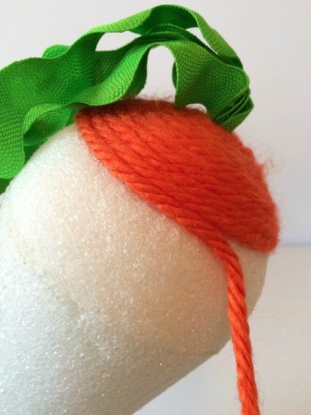 Yarn Wrapped Carrot