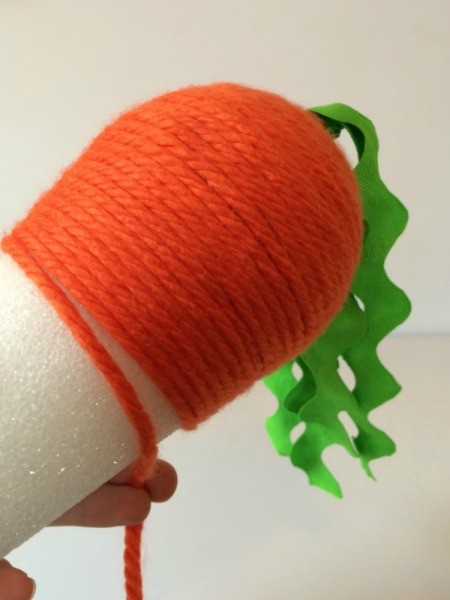 Yarn Wrapped Carrot