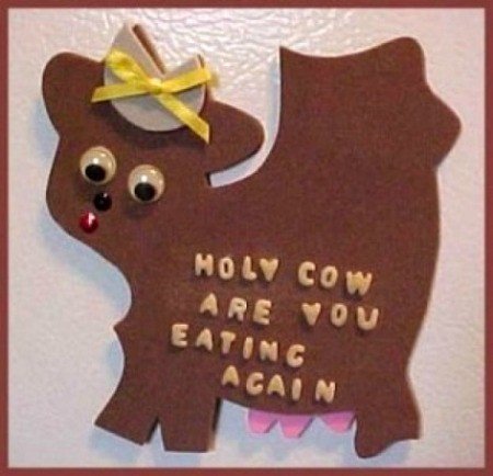 brown cow magnet