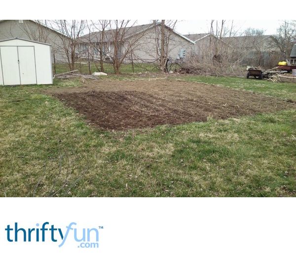 Neighbor's Chickens Eat My Vegetables? ThriftyFun