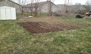 backyard garden