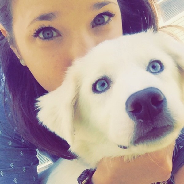 white dog with blue eyes
