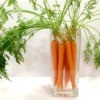Carrot Bouquet Centerpiece
